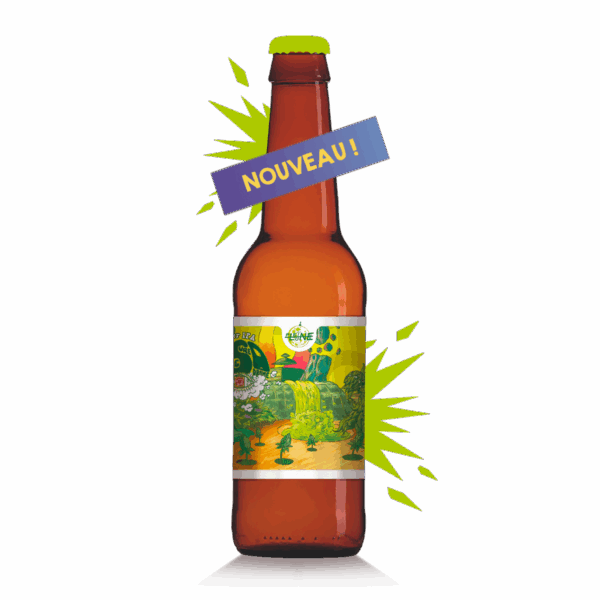 LSD4 Sour IPA
